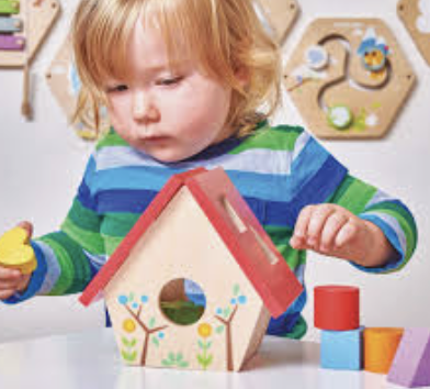 STEM & Learning Toys